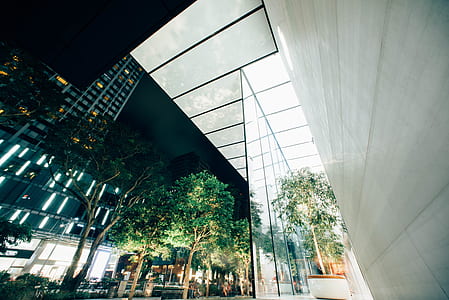 low angle photography of building near trees thumbnail