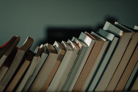 assorted reading book lot photography thumbnail