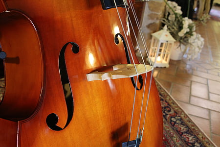cello on area rug thumbnail