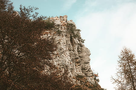 trees near brown cliff thumbnail