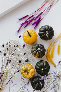 Small yellow and dark green pumpkins on a white background thumbnail