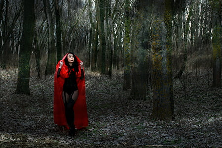 woman wearing red cape standing near brown trees at daytime thumbnail