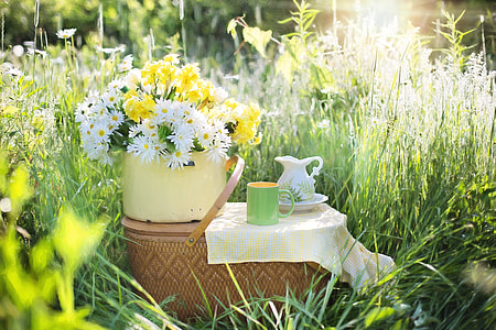 photography of Daisy flowers on white ceramic container and wicker brown picnic basket thumbnail