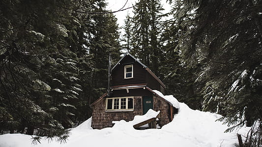 cabin on snow covered forest thumbnail