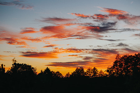 Sunset over the forest thumbnail