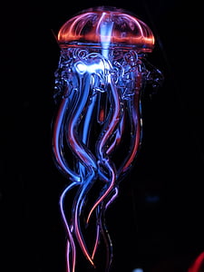 red and blue jellyfish thumbnail