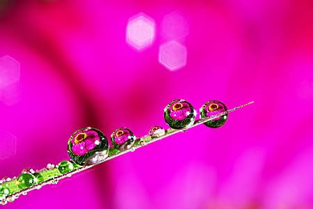 closeup photography of water drop thumbnail