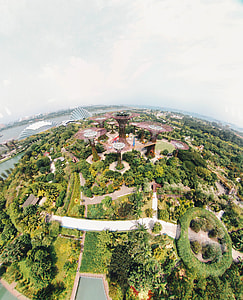 fisheye photography of Garden by the Bay, Singapore thumbnail
