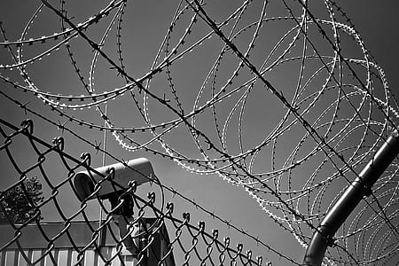 black-and-white, camera, silhouette, abstract thumbnail