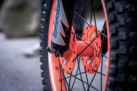 focus photo of red and black bicycle wheel thumbnail