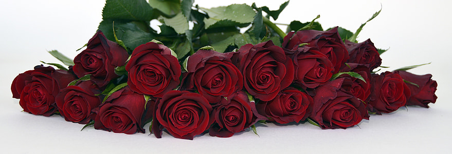 red roses lot thumbnail