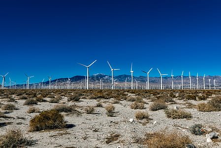 windmill lot thumbnail