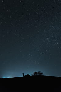 camel silhouette at night thumbnail