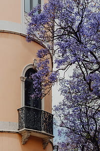 Lisbon Architecture, Portugal thumbnail