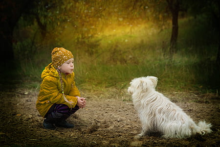 girl in yellow jacket siting front of medium-coated white dog at daytime thumbnail