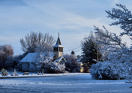 house covered by snow and surrounded by trees thumbnail