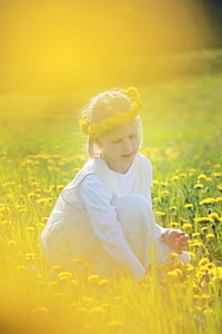girl wearing white long-sleeved dress sitting between yellow flower field during daytime thumbnail