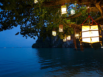 lit lanterns on tree branches thumbnail