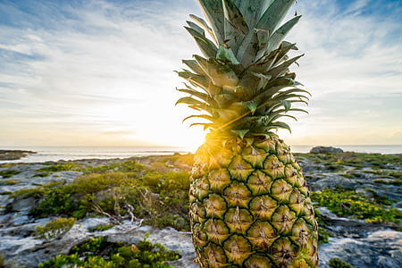 close-up photography of pineapple thumbnail