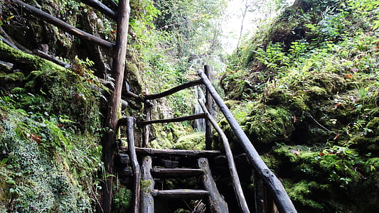 Black Wood Stairs Going to Waterfall during Daytime thumbnail