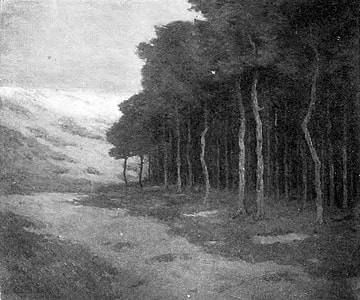 Pines at Knocke landscape at Knokke-Heist, Belgium thumbnail