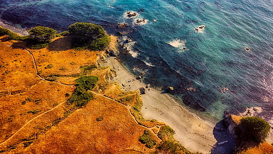 aerial photography of seashore beside field at daytime thumbnail