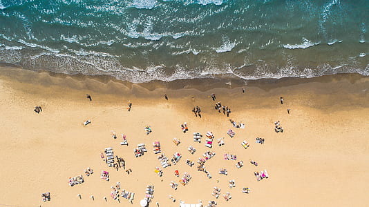 aerial photography of people on beach thumbnail