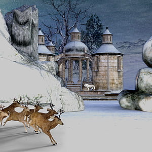 herd of brown deer on white ground in distance white wolf on beige concrete building painting thumbnail