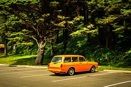 orange station wagon parked near tree at daytime thumbnail