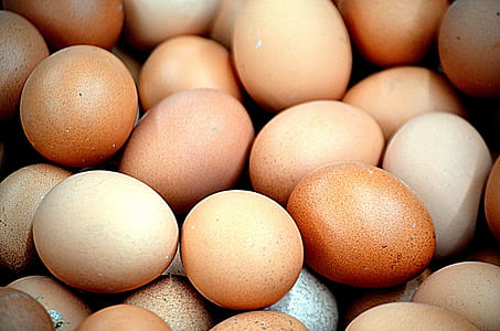 brown and beige egg lot thumbnail