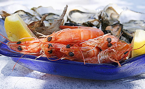 fresh shrimps thumbnail