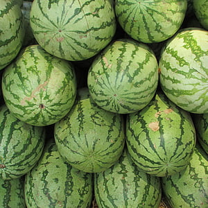 watermelon lot thumbnail