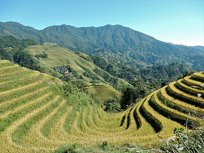 rice terraces under blue sky during daytime thumbnail
