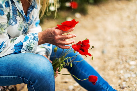 person holding red flowers thumbnail