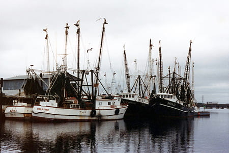 sea, vehicles, water, ocean thumbnail