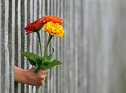 person holding flowers thumbnail