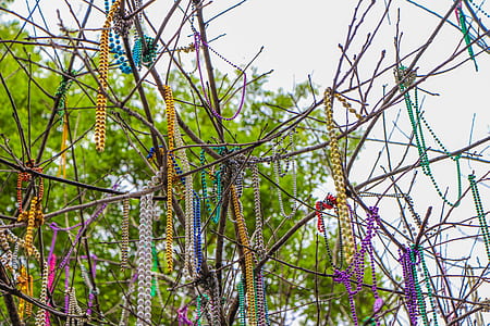 hanging assorted-color bead necklaces on twig thumbnail