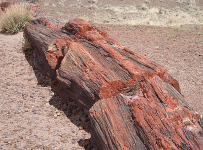 Petrified Forest National Park thumbnail