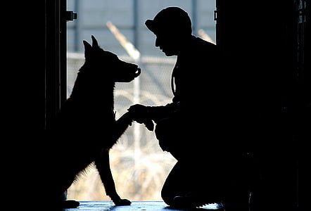 silhouette photography of man and dog sitting near door thumbnail