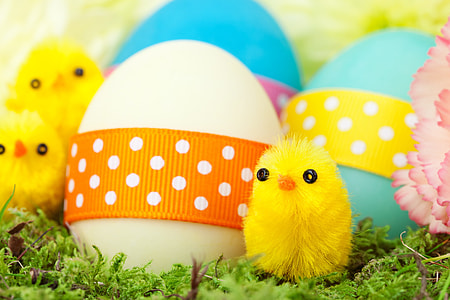 yellow bird toy with eggs thumbnail