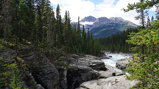river besides woods thumbnail