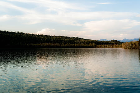 body of water near grass field thumbnail