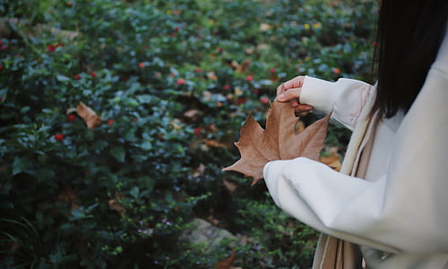 woman standing beside bushes holding dried leaf thumbnail