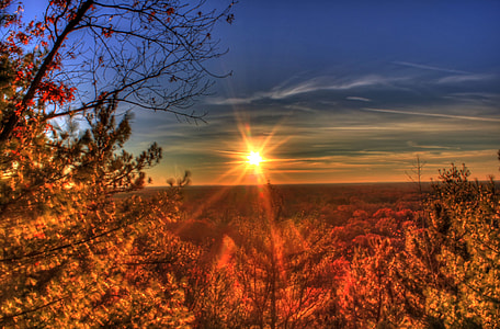 aerial photo of trees during sunset thumbnail