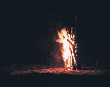 photo of burning firewood thumbnail