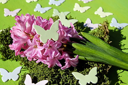 purple flowers on top of green grass thumbnail