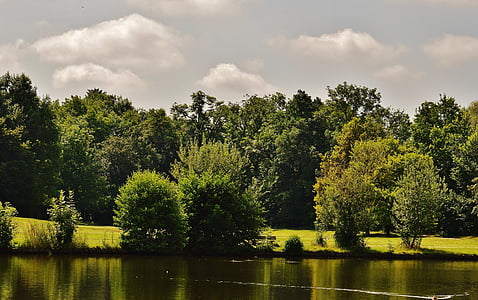 lush forest near body of water at daytime thumbnail