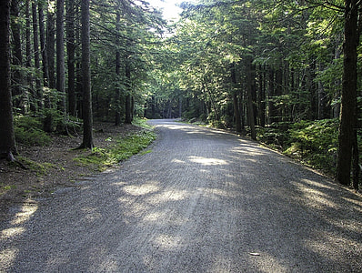Carriage Road in Acadia National Park, Maine thumbnail