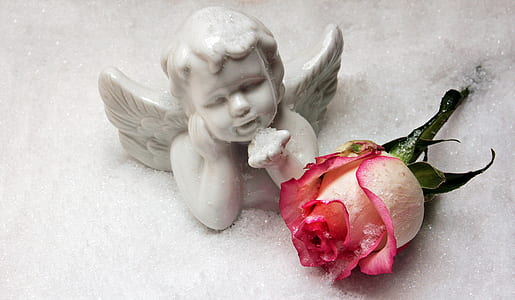 pink rose beside white cherub ceramic figurine thumbnail
