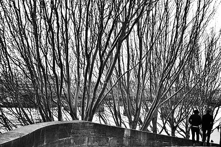 grayscale photography of two person standing on road beside withered trees thumbnail